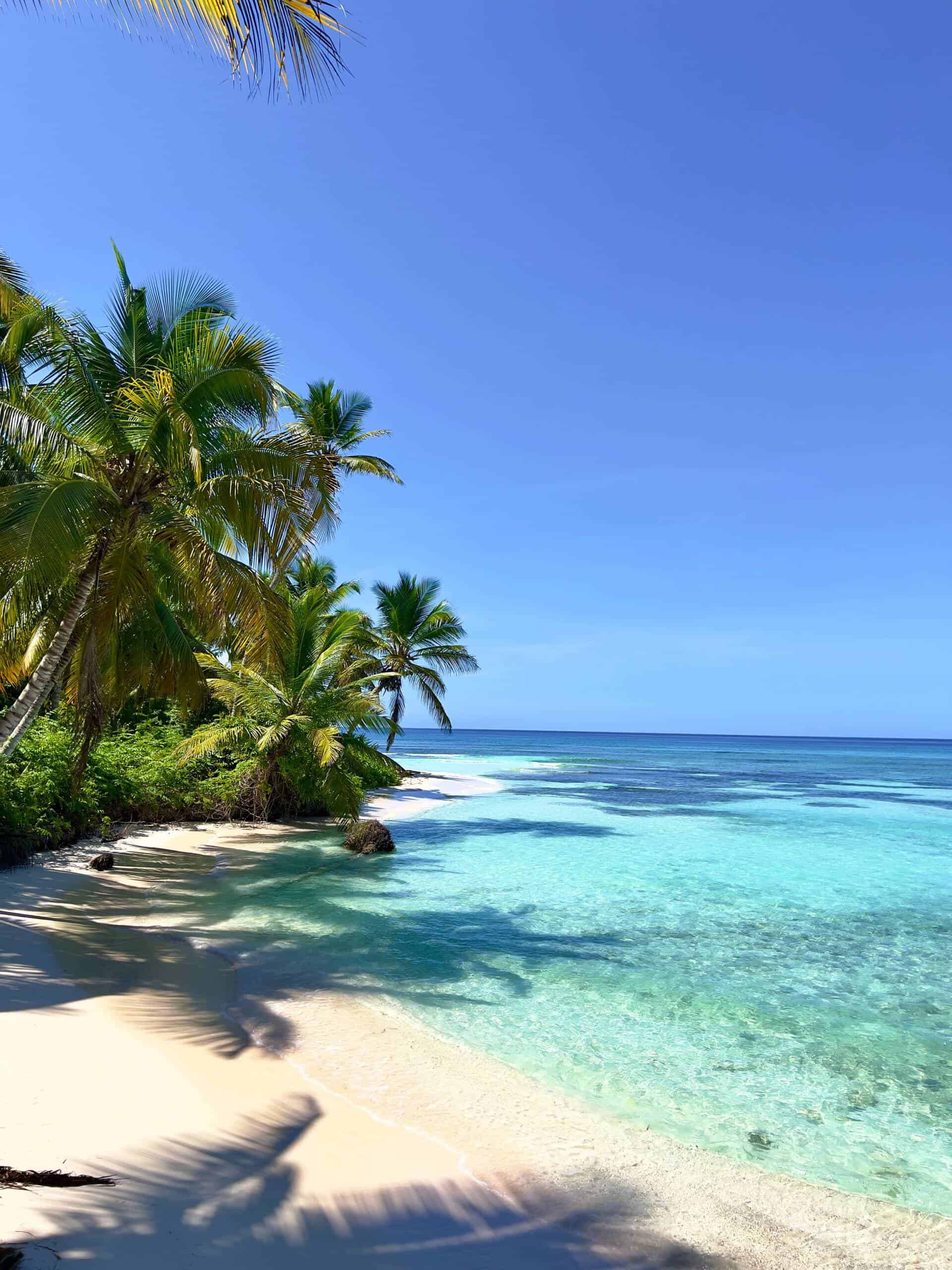 Paradiesischer Strand mit Palmen und klarem Wasser auf den San Blas Inseln.