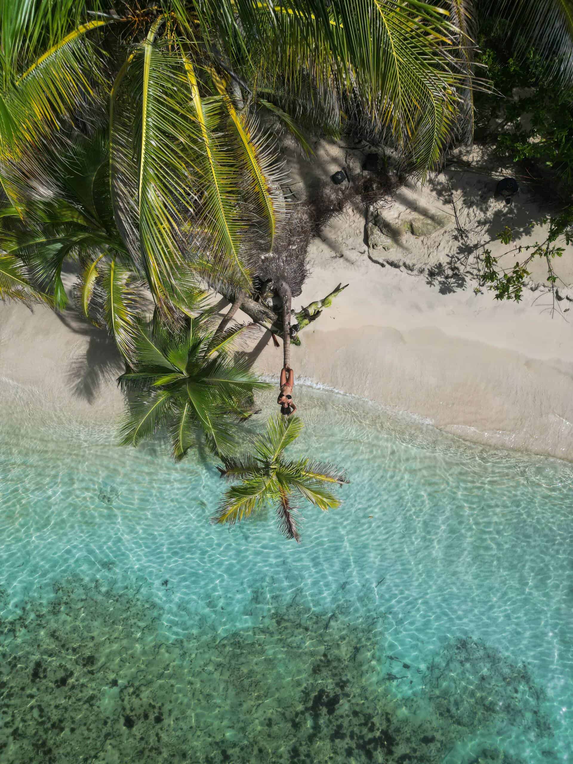 Traumhafter Strand mit Palmen und klarem Wasser auf den San Blas Inseln.