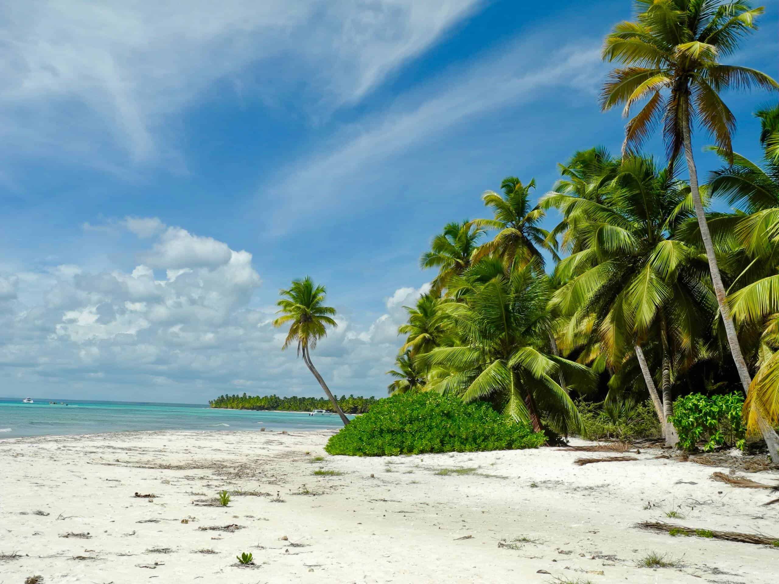 Weiße Sandstrände und Palmen auf den San Blas Inseln in Panama.