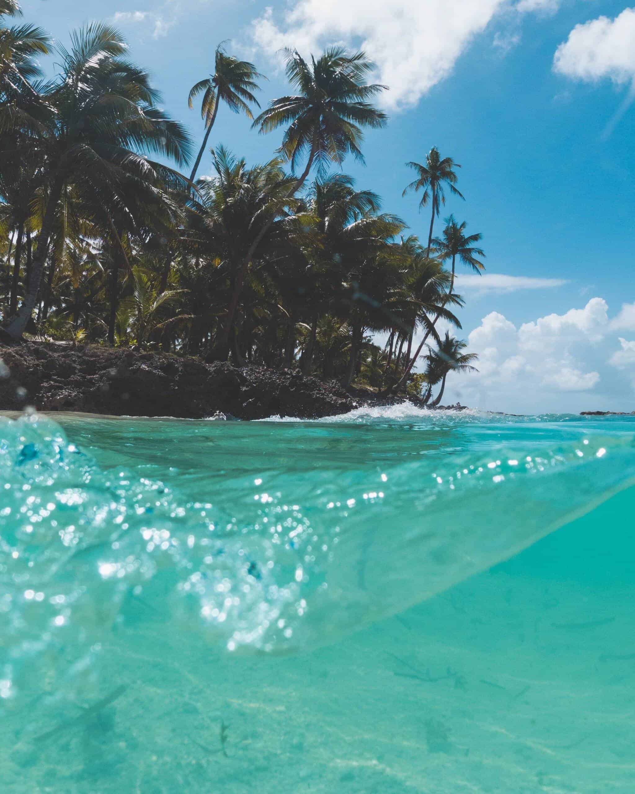 Traumhafte San Blas Inseln in Panama mit Palmen und türkisfarbenem Wasser.