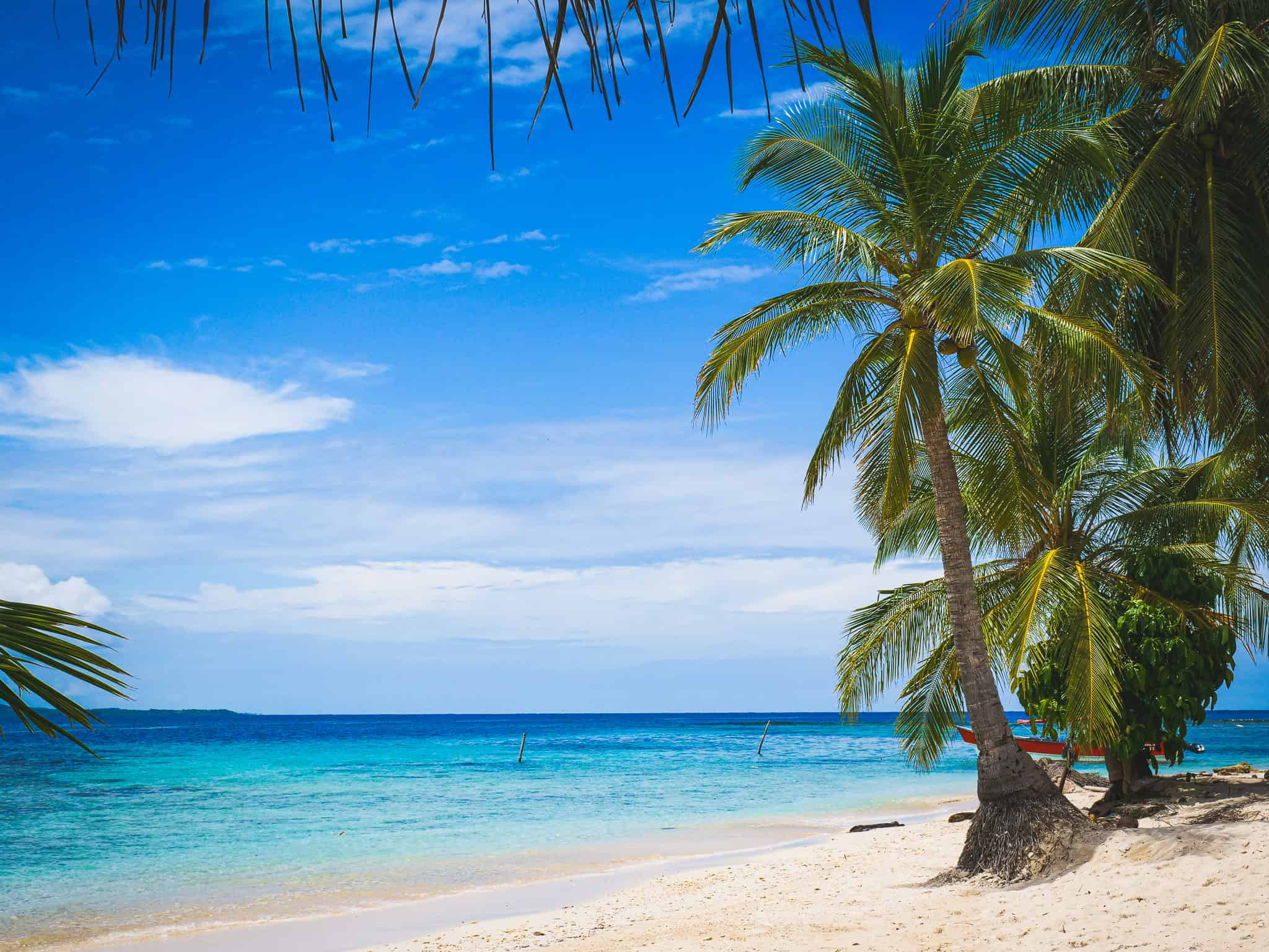 Palmen am weißen Sandstrand mit klarem Wasser in Guna Yala, Panama.