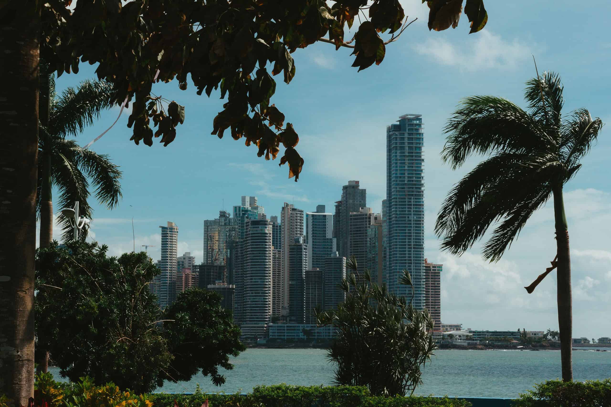 Panama City Skyline mit Hochhäusern und Palmen im Vordergrund.